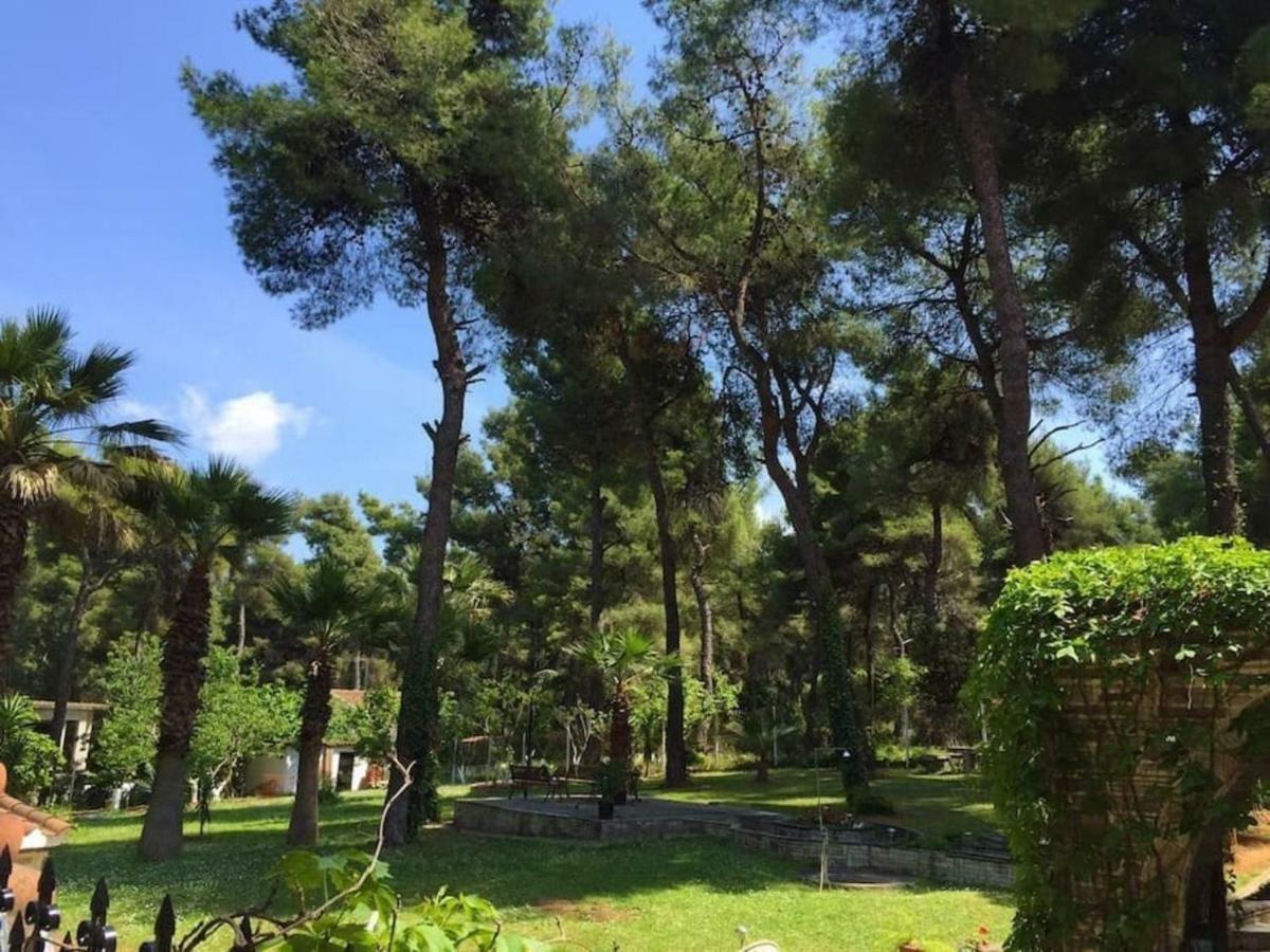 Wood And Stone Villa Παραλία Σάνη Εξωτερικό φωτογραφία